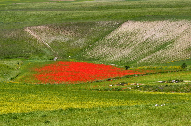 Monti Sibillini